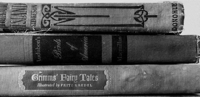 Así funcionan los&nbsp;libros.